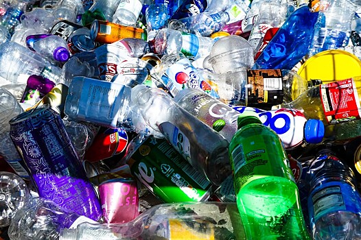 Может ли биоразлагаемый пластик разрешить экологическую катастрофу?