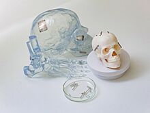 «Лучший город для развития инноваций». Участники конкурса «Новатор Москвы» — о своих проектах и поддержке столицы