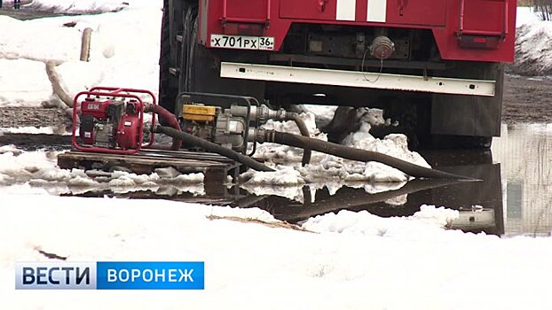 Само растаяло – само высохнет. Как Воронеж справляется с долгожданной оттепелью