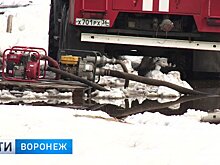 Само растаяло – само высохнет. Как Воронеж справляется с долгожданной оттепелью