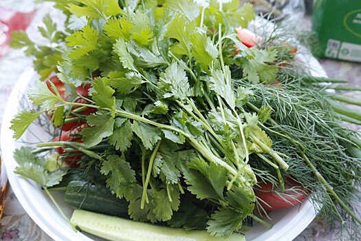 Эксперт рассказал, что будет с ценами на зелень и салат в России