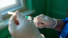В России новая вакцина от четырех видов гриппа может появиться в 2019 году