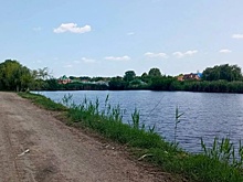 В станице Выселки начали благоустройство набережной