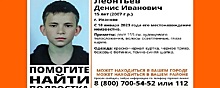 В Иванове пятый день продолжаются поиски 15-летнего Дениса Леонтьева