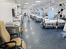 Вирусолог назвал сроки спада эпидемии коронавируса в России