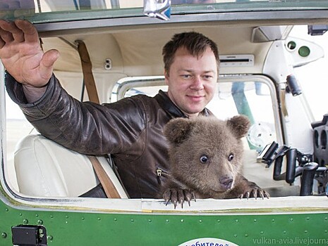 Спаситель тверского медвежонка Мансура лётчик Андрей Иванов получил "Лохматый Оскар"