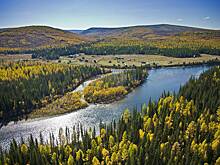 8 ноября: какой праздник отмечают в России и мире