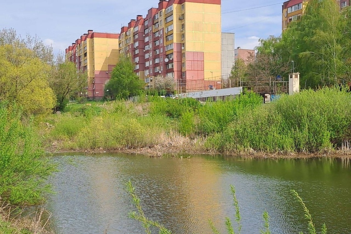 В Курске благоустроят сквер и озеро на Студенческой за 41,5 млн рублей