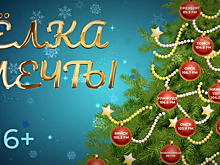 Омичка выиграла ёлку мечты и 12 автографов звёзд российской эстрады