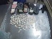 В СИЗО-2 УФСИН России по г. Москве пытались доставить 128 свертков с запрещенными веществами
