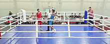 Спортсмен из Ивантеевки занял первое место на соревнованиях по боксу