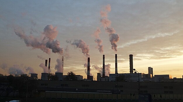 ФБК обвинил сына генпрокурора Игоря Чайку в загрязнении экологии Москвы