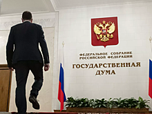 Директор музея Пушкина отказался от депутатского мандата вслед за Машковым