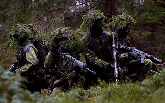 Шведская «репетиция войны с Россией» напоминает спектакль