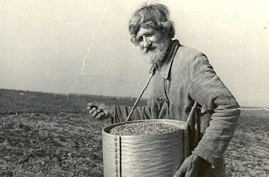 Как выглядит «среднеевропейский» русский