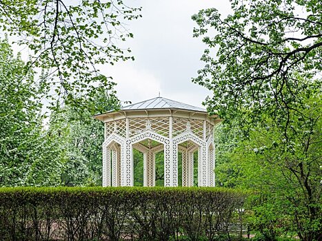 Парк Горького в Москве временно закрыт для посещений