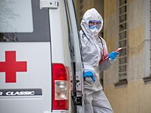 По решению Собянина услуги центра занятости оказываются онлайн
