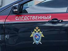 В РФ возбудили дело в отношении гражданки Дании за вторжение в Курскую область