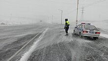Сотрудники ГИБДД в Красноярском крае спасают от 30-градусного мороза водителей и животных
