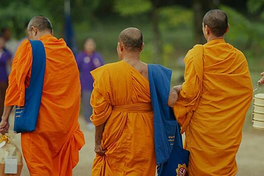 Семь буддистских монахов погибли на Шри-Ланке