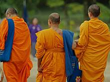 Семь буддистских монахов погибли на Шри-Ланке