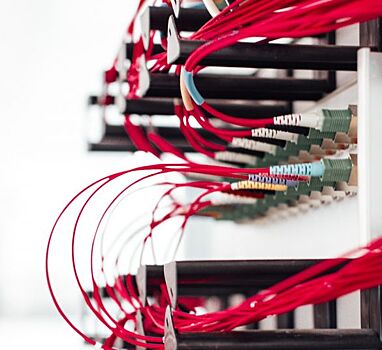 Может ли "чистка" крови отодвинуть старение?