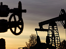 В США рассказали о трудностях с ограничениями против нефтепродуктов РФ