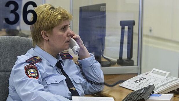 Эксперт рассказал, как в Новый год не стать жертвой домушников