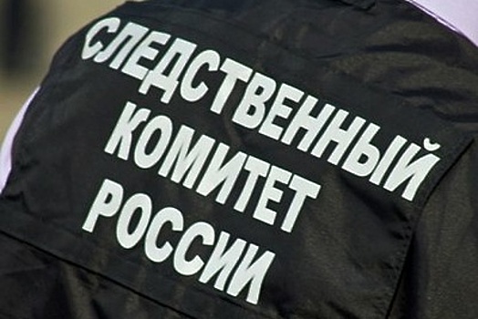 СК возбудил четыре уголовных дела по фактам противоправных действий на несанкционированной акции в Москве