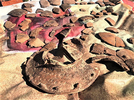 Находки уникальные: в Приморье завершаются важные раскопки
