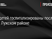 Трое детей госпитализированы после ДТП в Лужском районе