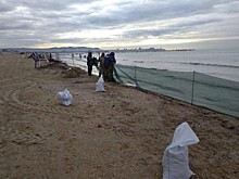 Новый способ защиты очищенных пляжей от мазута тестируют в Анапе