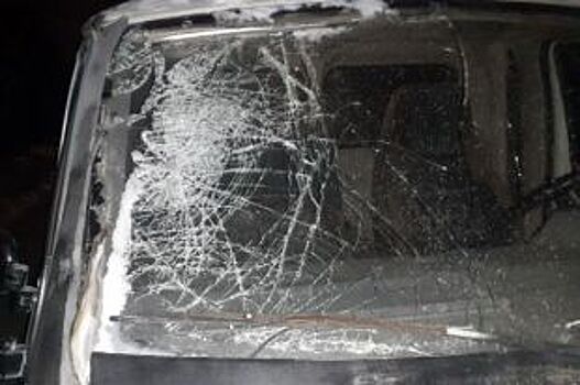 В Челябинске насмерть сбили 34-летнего пешехода