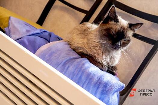 Почему в Мурманске не могут вернуть тепло в дома