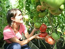 Как заработать на урожае с приусадебного участка