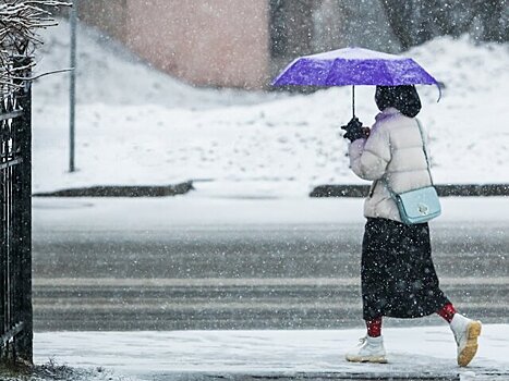 Облачная погода и небольшой снег ожидаются в Москве 3 февраля