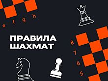 Как играть в шахматы: основные правила игры, расстановка фигур, как ходят фигуры – базовые уроки шахмат на «Чемпионате»