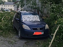 Бастрыкин вмешался в скандал, разразившийся после урагана в Новосибирске