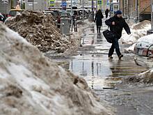 Москвичам пообещали сюрприз после оттепели