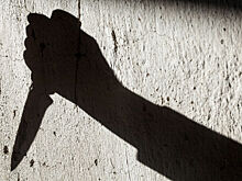 В Красноярске пьяная женщина напала с ножом на несовершеннолетнюю соседку