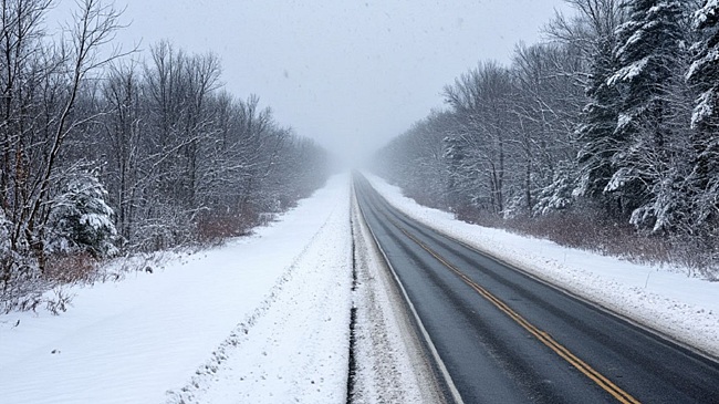 На Сахалине раскрыли последствия снегопада