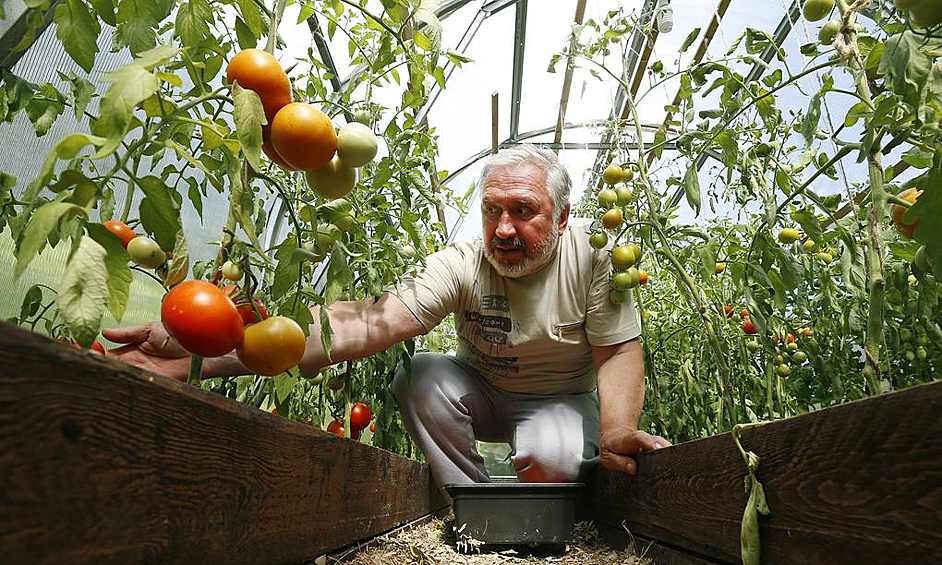 Из-за новых налогов Россияне стремятся избавиться от дач.