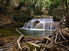 В Крыму планируют построить водозабор на Салгире для аграриев