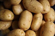 Названа причина снижения цен на картофель на 30%