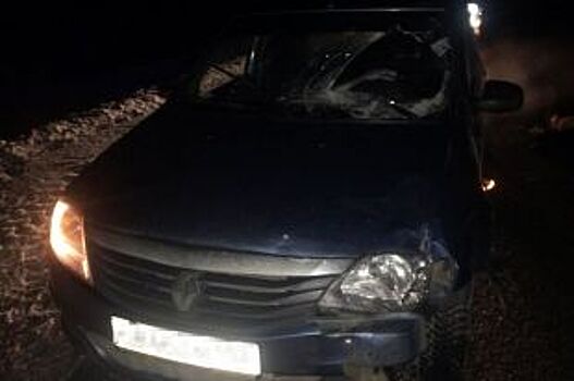 Водитель Renault сбил насмерть пешехода, шедшего ночью по трассе в Башкирии