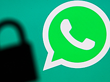 В WhatsApp решили "аккуратно" принуждать к новой политике