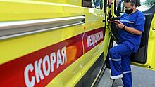 В ДТП с микроавтобусом под Воронежем погибли два человека