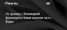 Финляндия раздумывает о передаче Украине танков Leopard 2: в назидание финнам напомнили об "Искандерах" под Выборгом