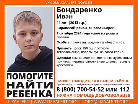 В Новосибирске с 1 октября ищут пропавшего 11-летнего мальчика