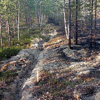 На Ямале успели потушить лесной пожар, разбушевавшийся рядом с нефтепроводом